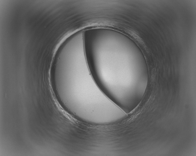 X0000051910936200507011530