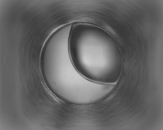 X0000051910940200507011530