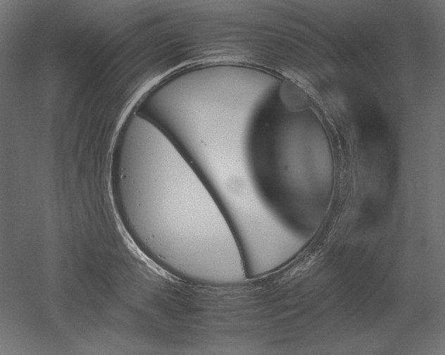 X0000051910941200507011530