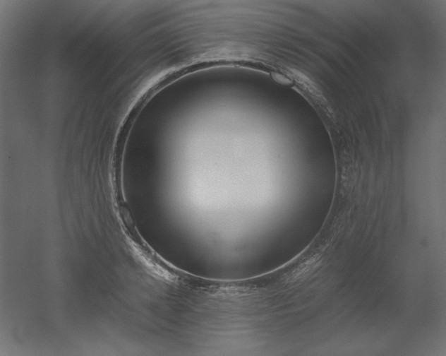 X0000051910942200507011530