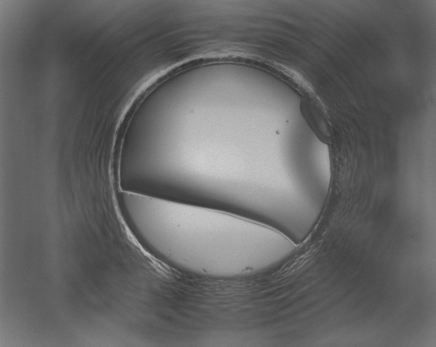 X0000051910943200507011530