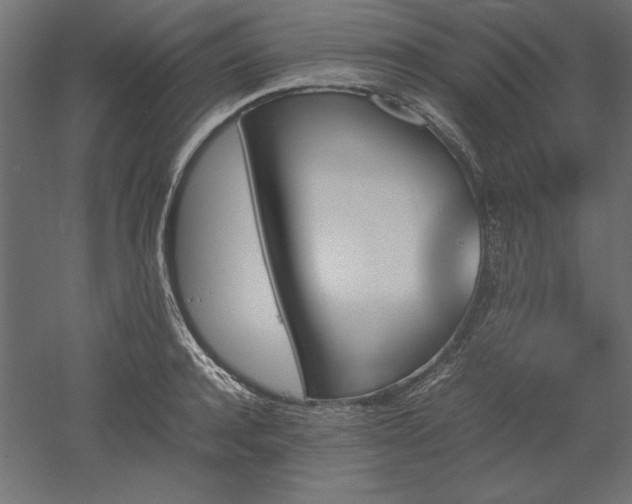 X0000051910944200507011530