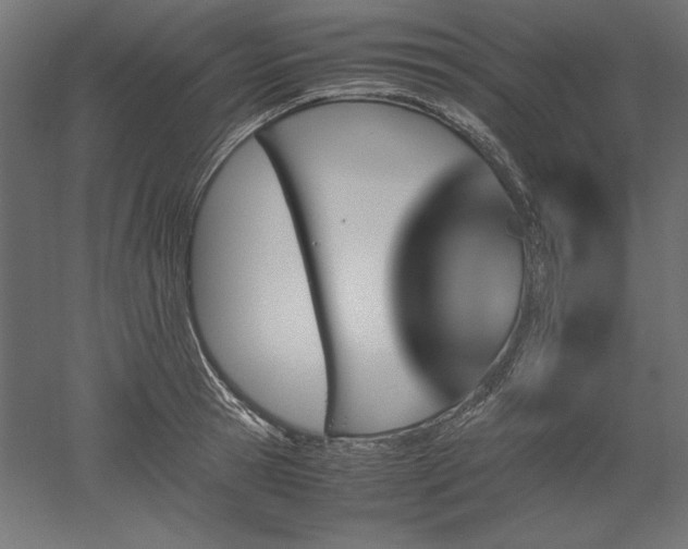 X0000051910945200507011530