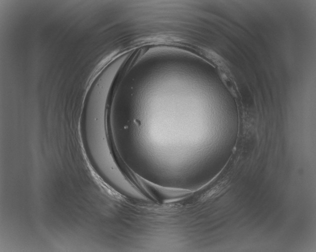 X0000051910946200507011530