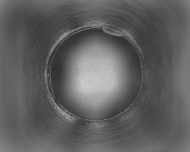 X0000051910947200507011530