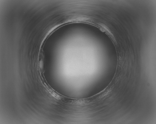 X0000051910948200507011530