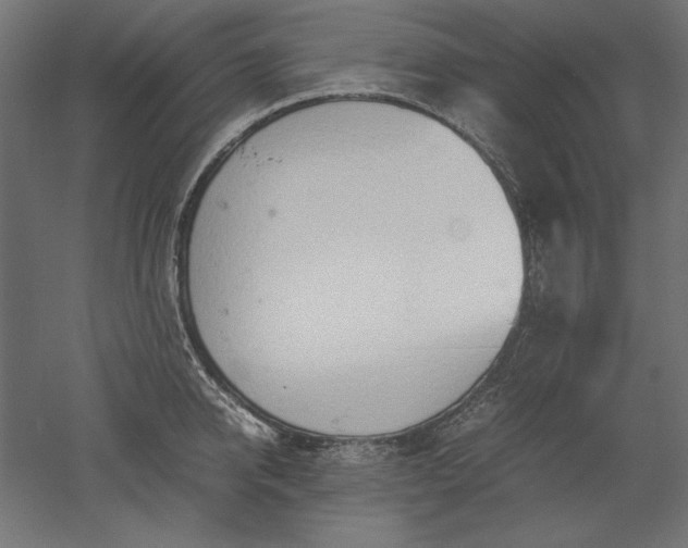 X0000051910950200507011530