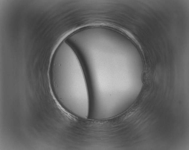 X0000051910951200507011530