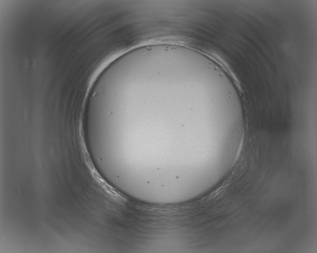 X0000051910952200507011530