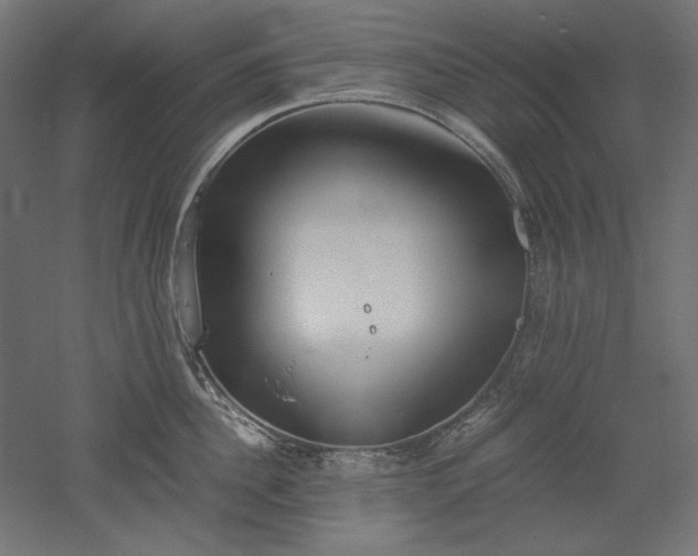 X0000051910956200507011530