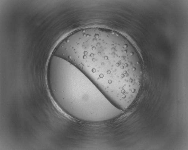 X0000051910957200507011530