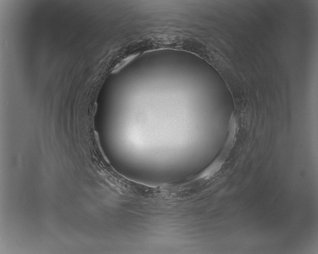 X0000051910961200507011529