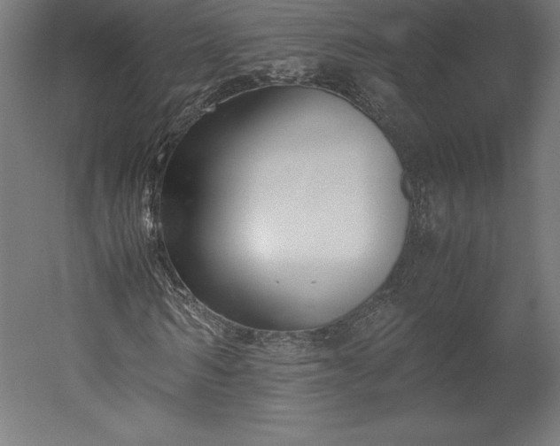 X0000051910962200507011529