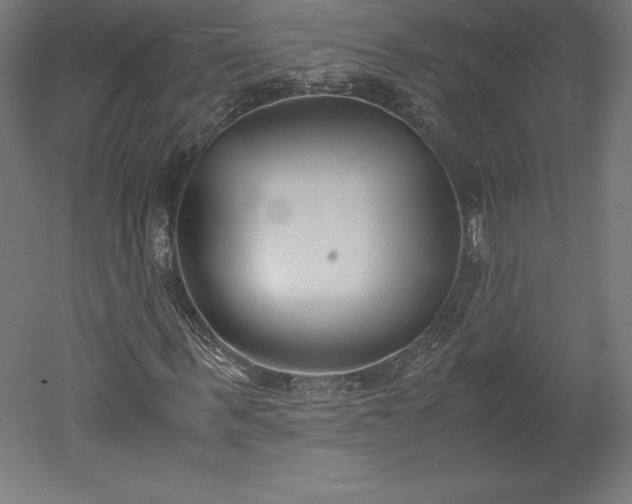 X0000051910963200507011529