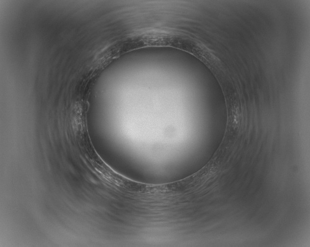 X0000051910964200507011529