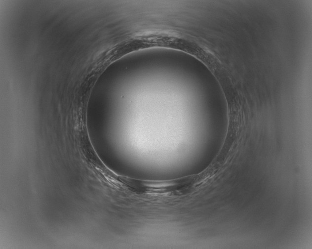 X0000051910965200507011529