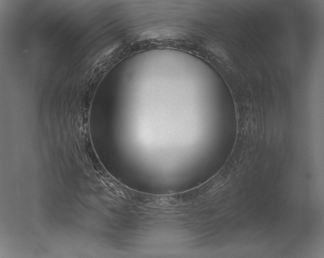 X0000051910966200507011529