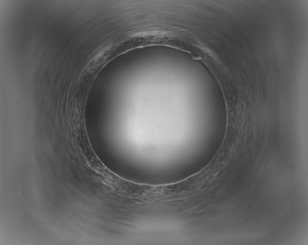 X0000051910967200507011529