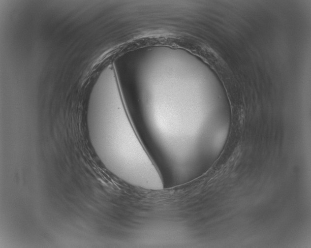 X0000051910968200507011529