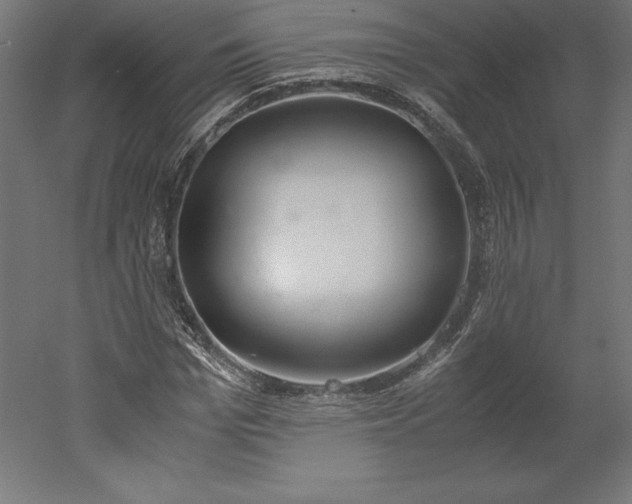 X0000051910969200507011529