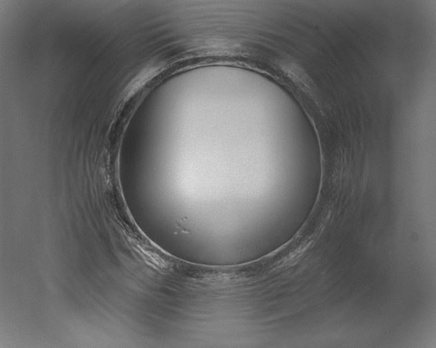 X0000051910970200507011529