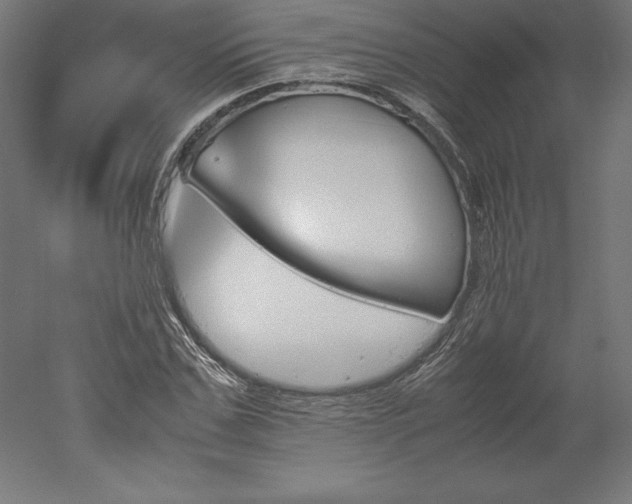 X0000051910971200507011529