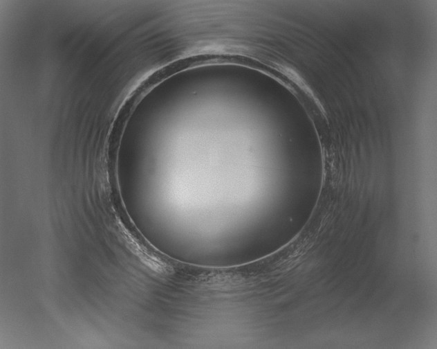 X0000051910972200507011529