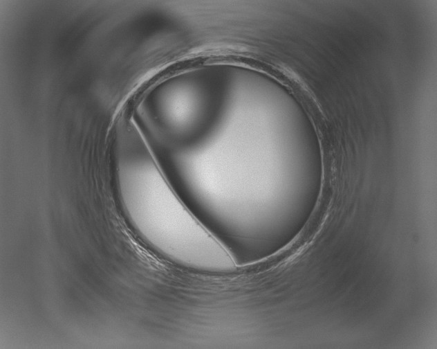 X0000051910973200507011529