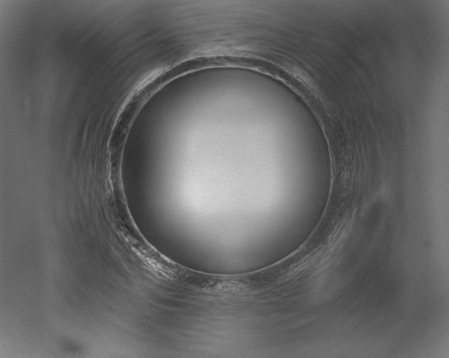 X0000051910974200507011529