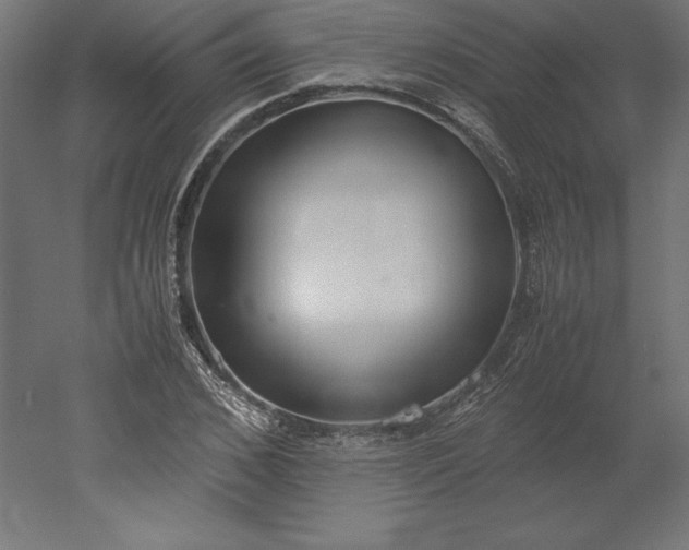 X0000051910976200507011529