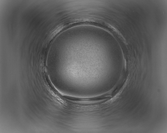 X0000051910977200507011529