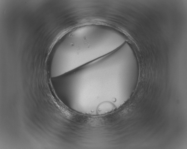 X0000051910978200507011529