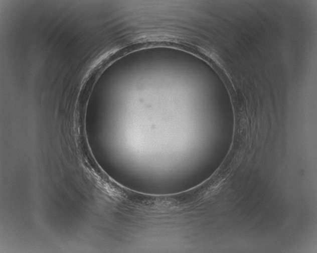 X0000051910979200507011529