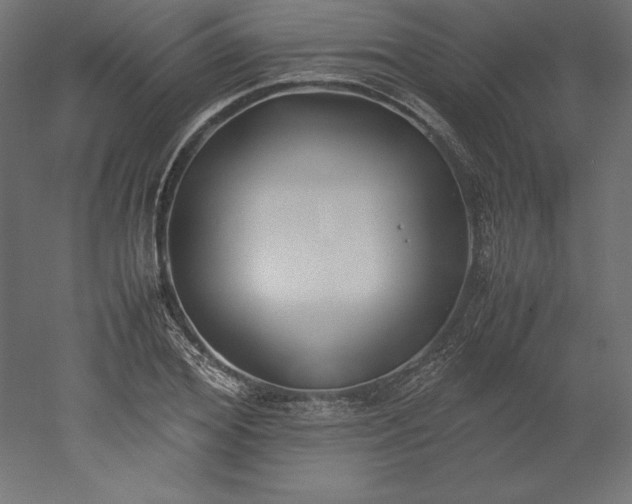 X0000051910980200507011529