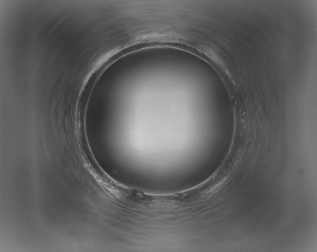 X0000051910981200507011529