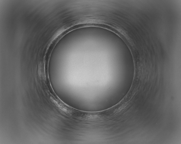 X0000051910982200507011529