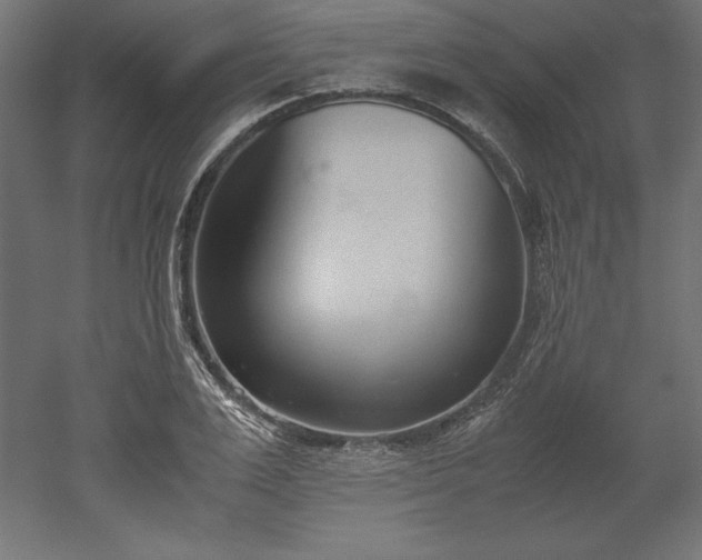 X0000051910983200507011529