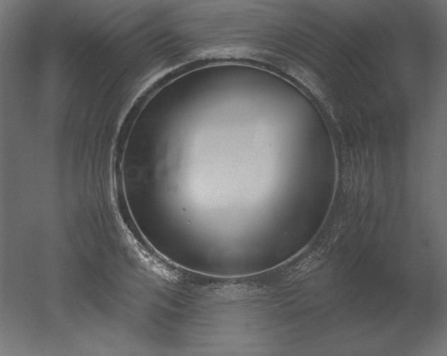 X0000051910984200507011529