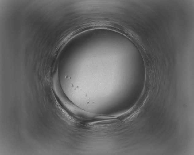 X0000051910985200507011529