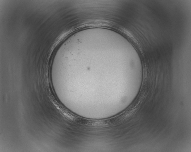 X0000051910986200507011529