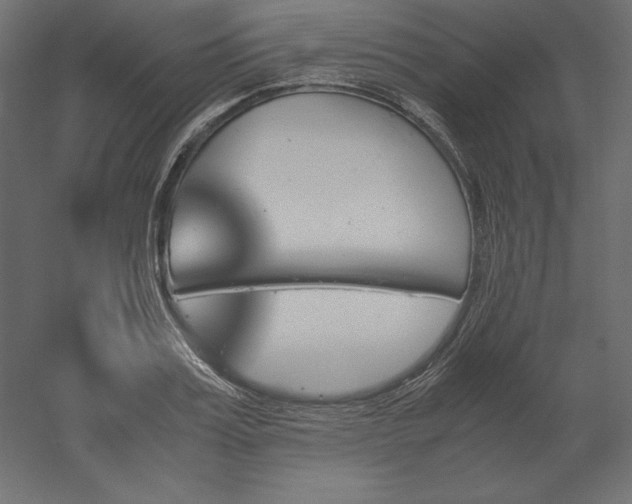 X0000051910987200507011529