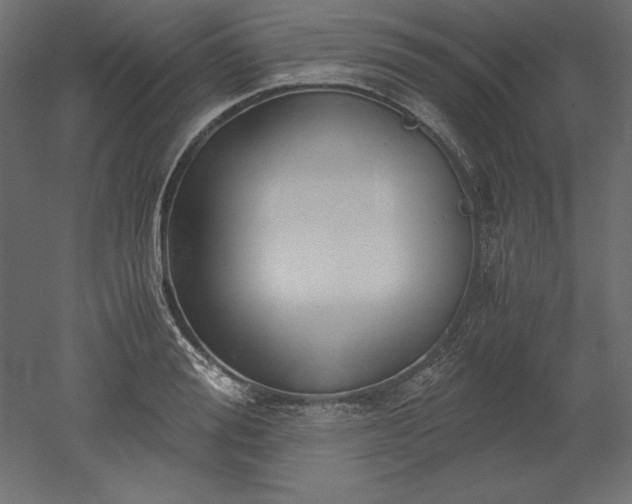 X0000051910988200507011529