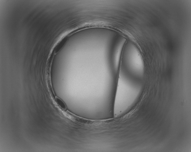 X0000051910989200507011529