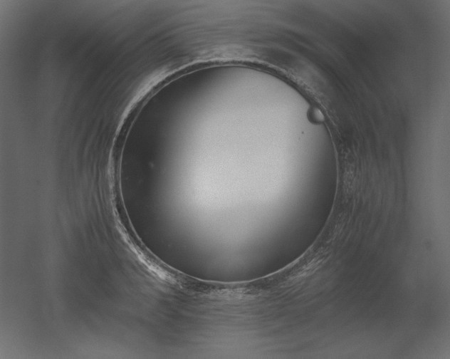 X0000051910990200507011529