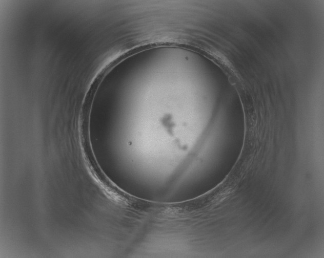 X0000051910991200507011529