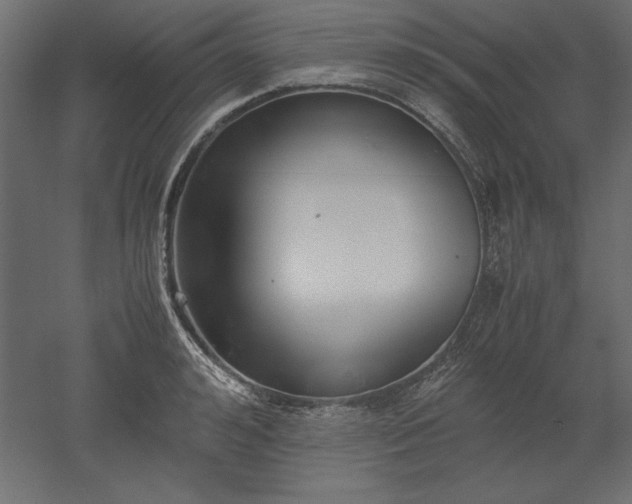 X0000051910992200507011529