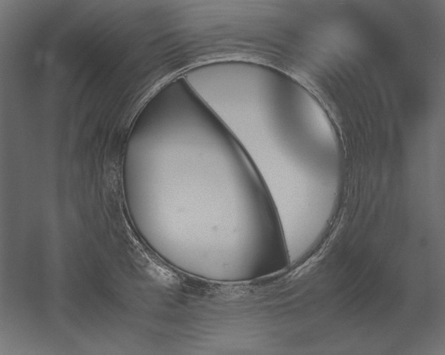 X0000051910993200507011529