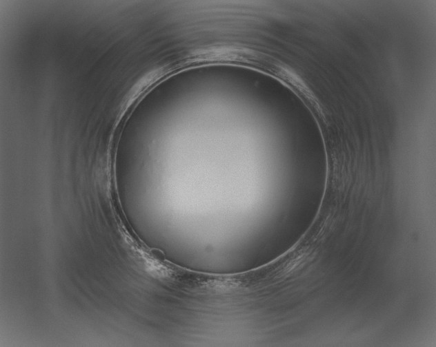 X0000051910994200507011529