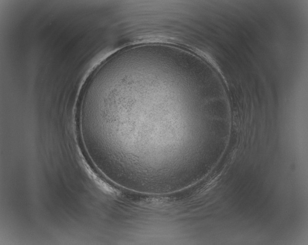 X0000051910995200507011529