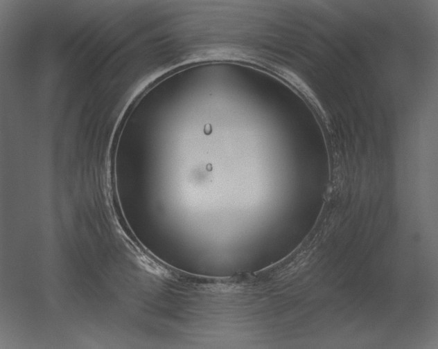 X0000051910996200507011529